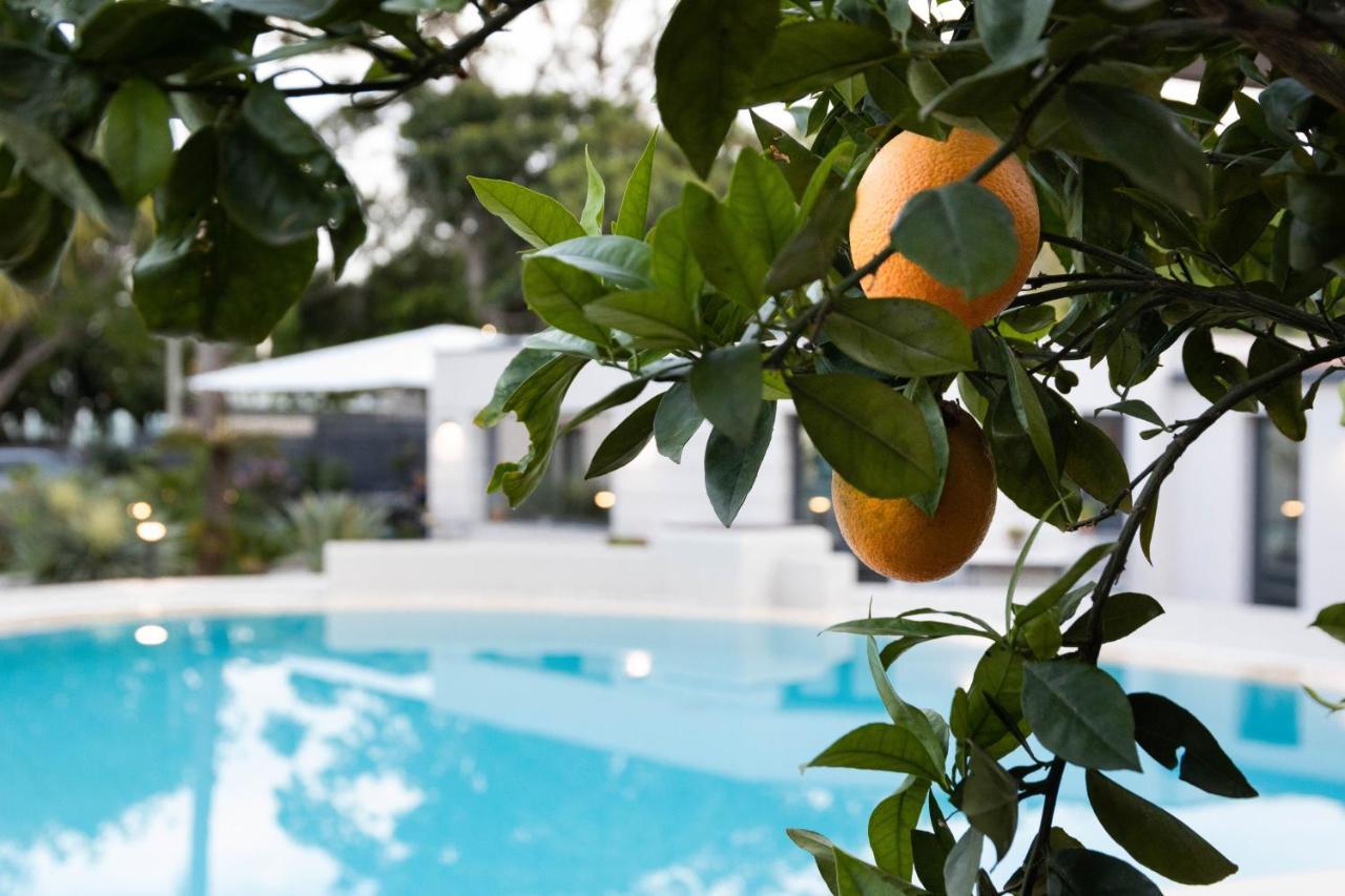 Villa Masetta - Luxury Suites Palermo Exteriör bild